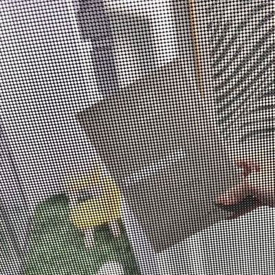 평면 직물 스타일 스테인레스 스틸 반 도난 창망 궁극적 인 보안을위한 궁극적 인 보호